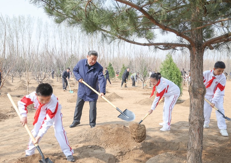 义务植树.jpg